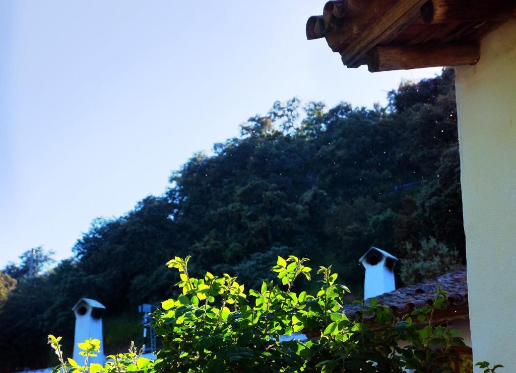 Apartmán El Molino Del Corcho Cazalla de la Sierra Exteriér fotografie
