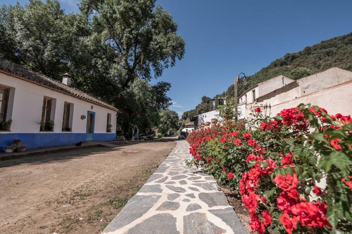 Apartmán El Molino Del Corcho Cazalla de la Sierra Exteriér fotografie